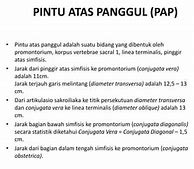 Pap Adalah Pintu Atas Panggul